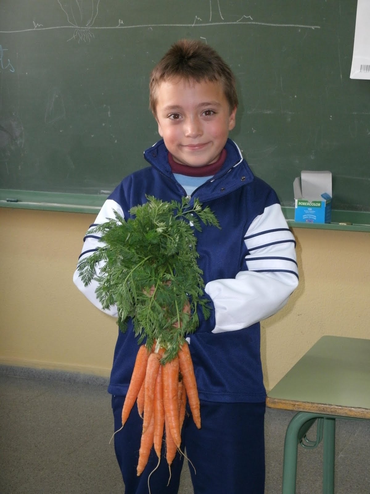 Stems We Eat