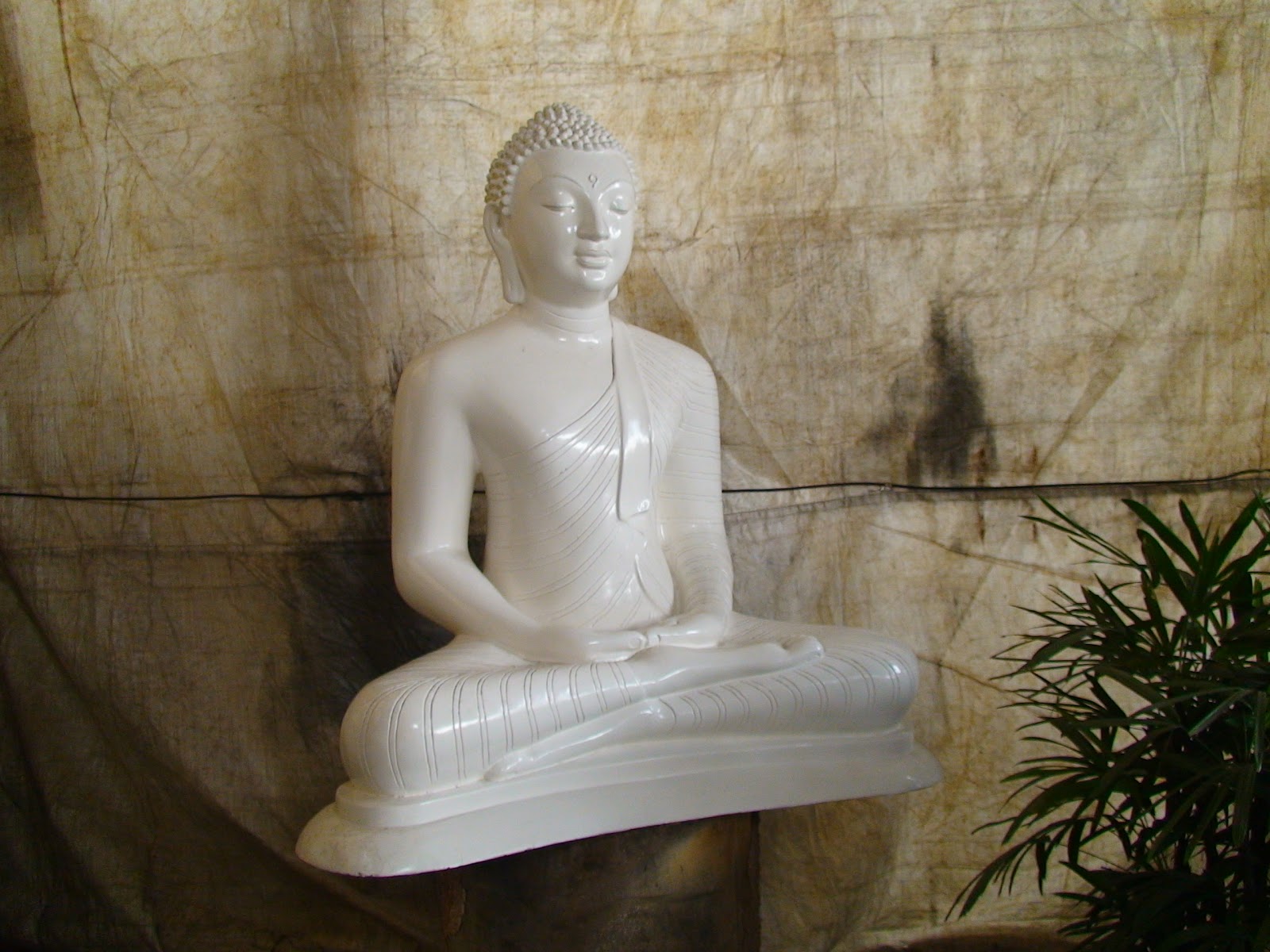 Samadi Lanka Buddha Statue