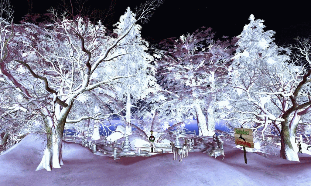 Eddi &amp; Ryce Photograph Second Life: Merry Christmas! Animated Scenes