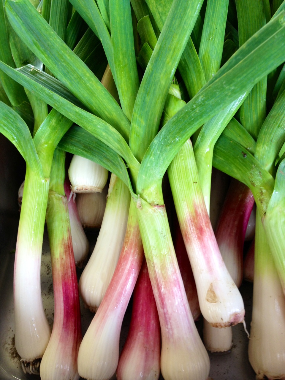 To Market, To Market with San Diego Foodstuff: Spring Garlic with Purple  Sprouting Broccoli