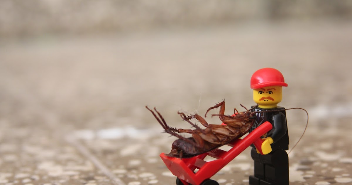 lego cockroach