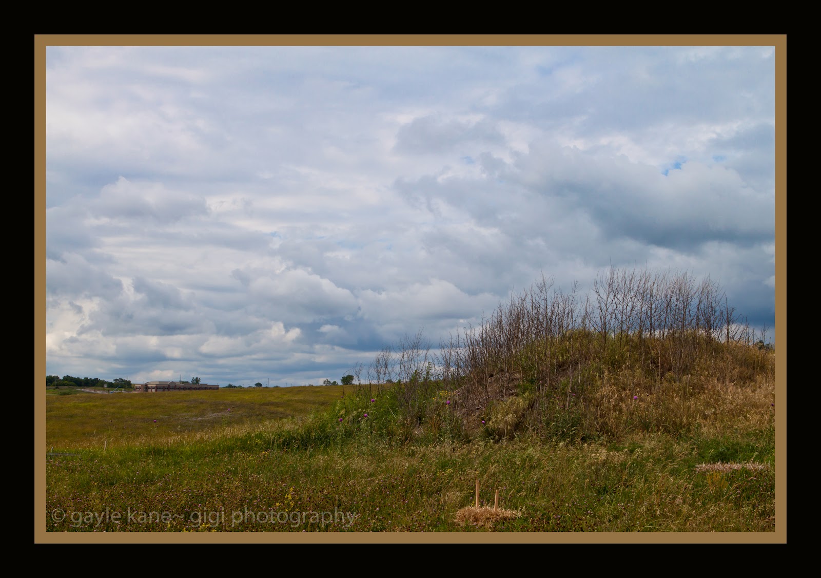 GiGi K Photography: Blog