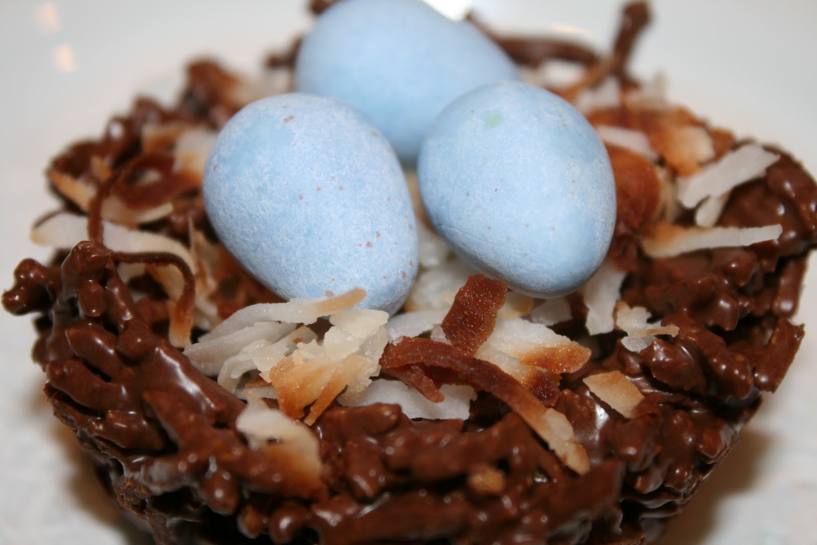 everything to entertain Edible Bird's Nests