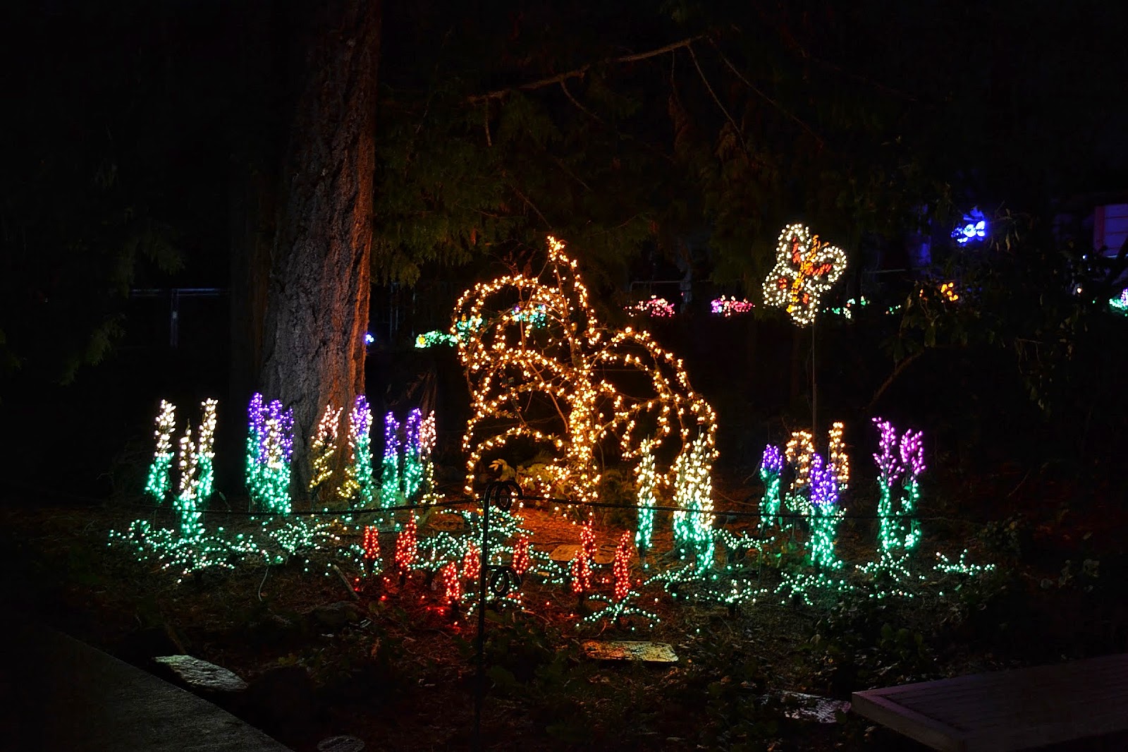 The Outlaw Gardener Garden d'Lights at Bellevue Botanical Garden