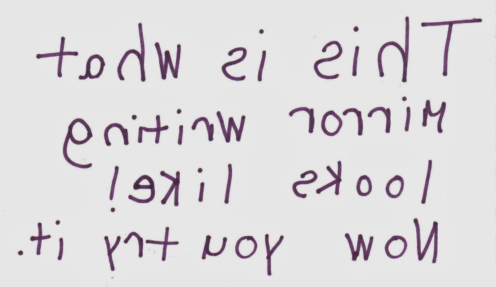 Mrs. White's Grade 2