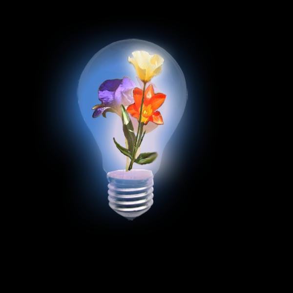 Teknologi Informasi: PhotoShop : Bola Lampu Yang Cantik