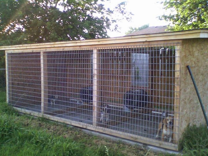 Wilson Bros Beagles Kennels