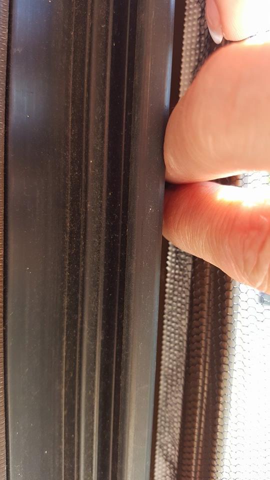 What Shall We Do Today?Life as an Air Force Family How to Install