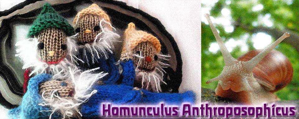 Homunculus Anthroposophicus