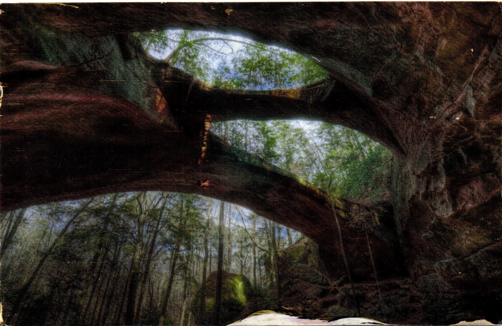 Spanning the Sipsey Wilderness Postally Yours