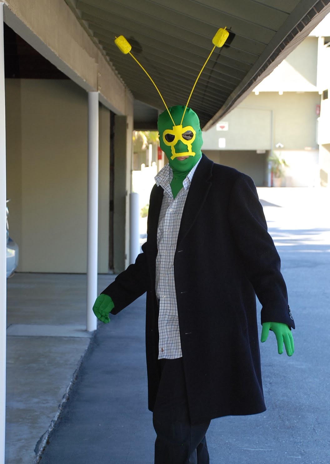 Andres Salazar's Nappy Headed Podcast Ambush Bug Costume