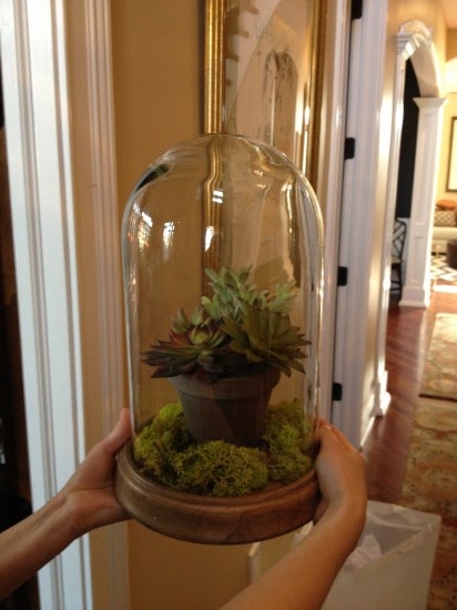 The Fern and Mossery: Can you tell this is a fake terrarium?