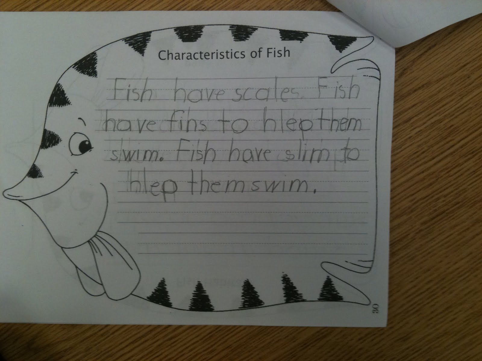 Essay about facts and opinions image