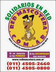 RED MASCOTERA