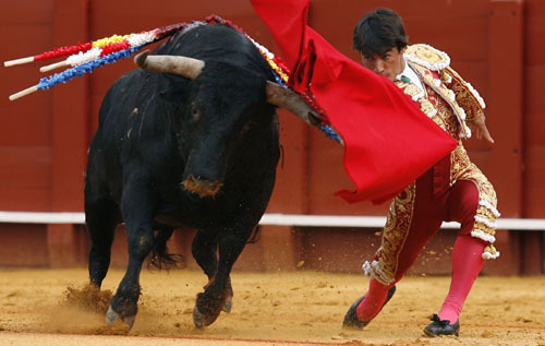 Bullfight [1951]