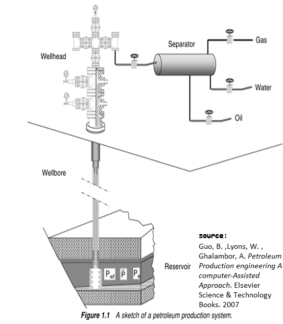 Petroleum Production System