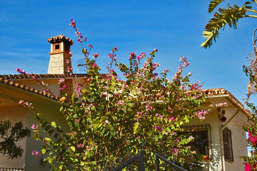 Del Cielo Cayo Un Panuelo Bordado De Mil Colores