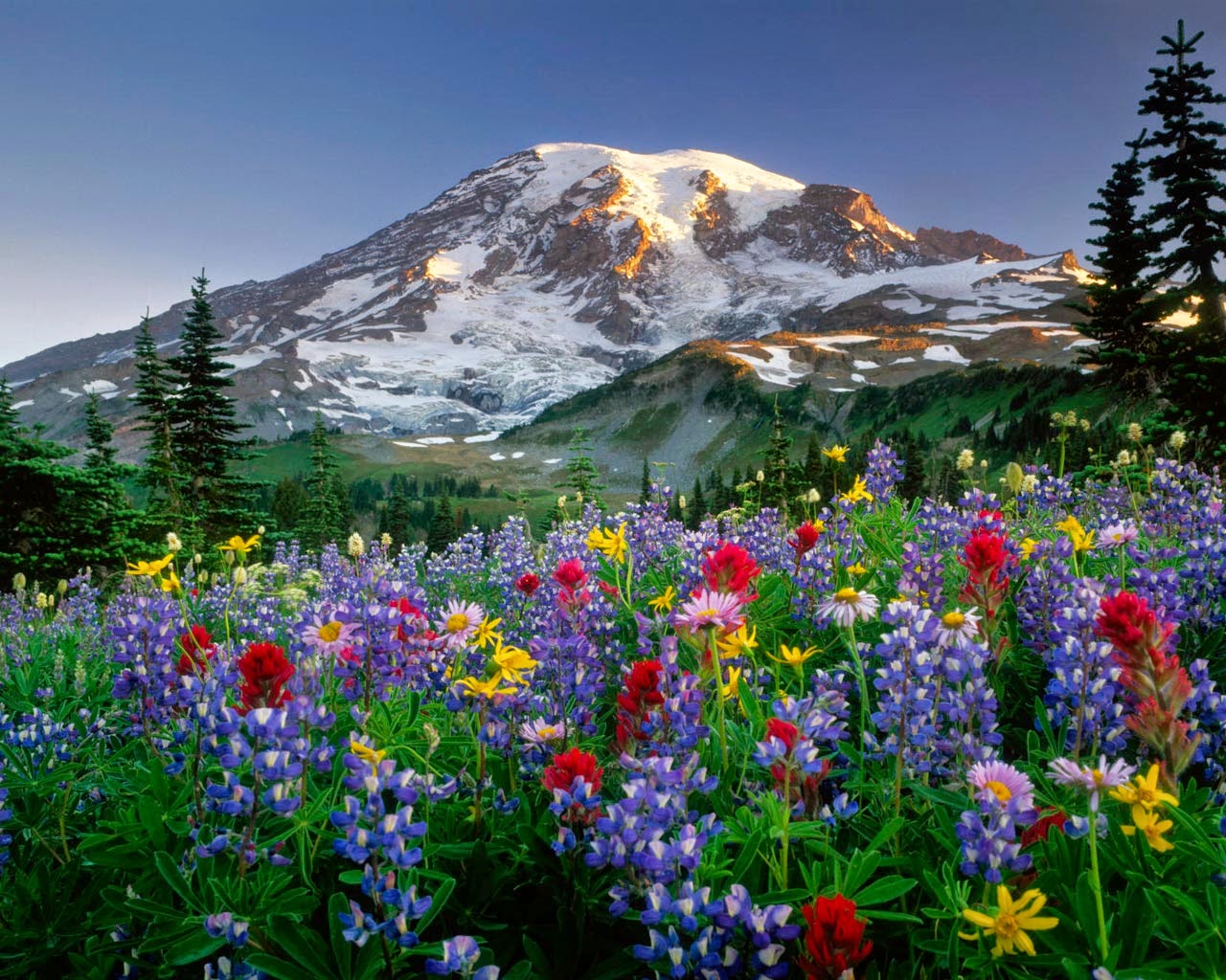Resultado de imagen de paisaje natural