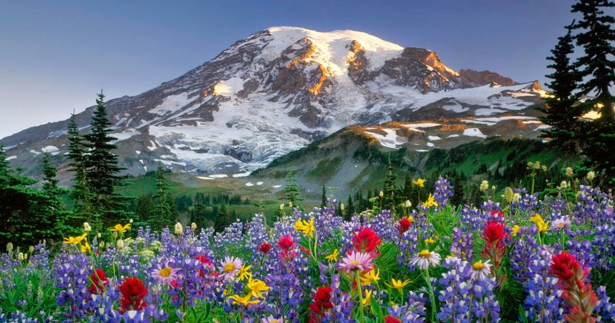 TERCERO HABANERAS: PAISAJE NATURAL