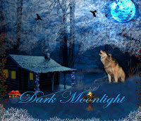 Dark Moonlight Dark Moonlight digital fantasy backgrounds