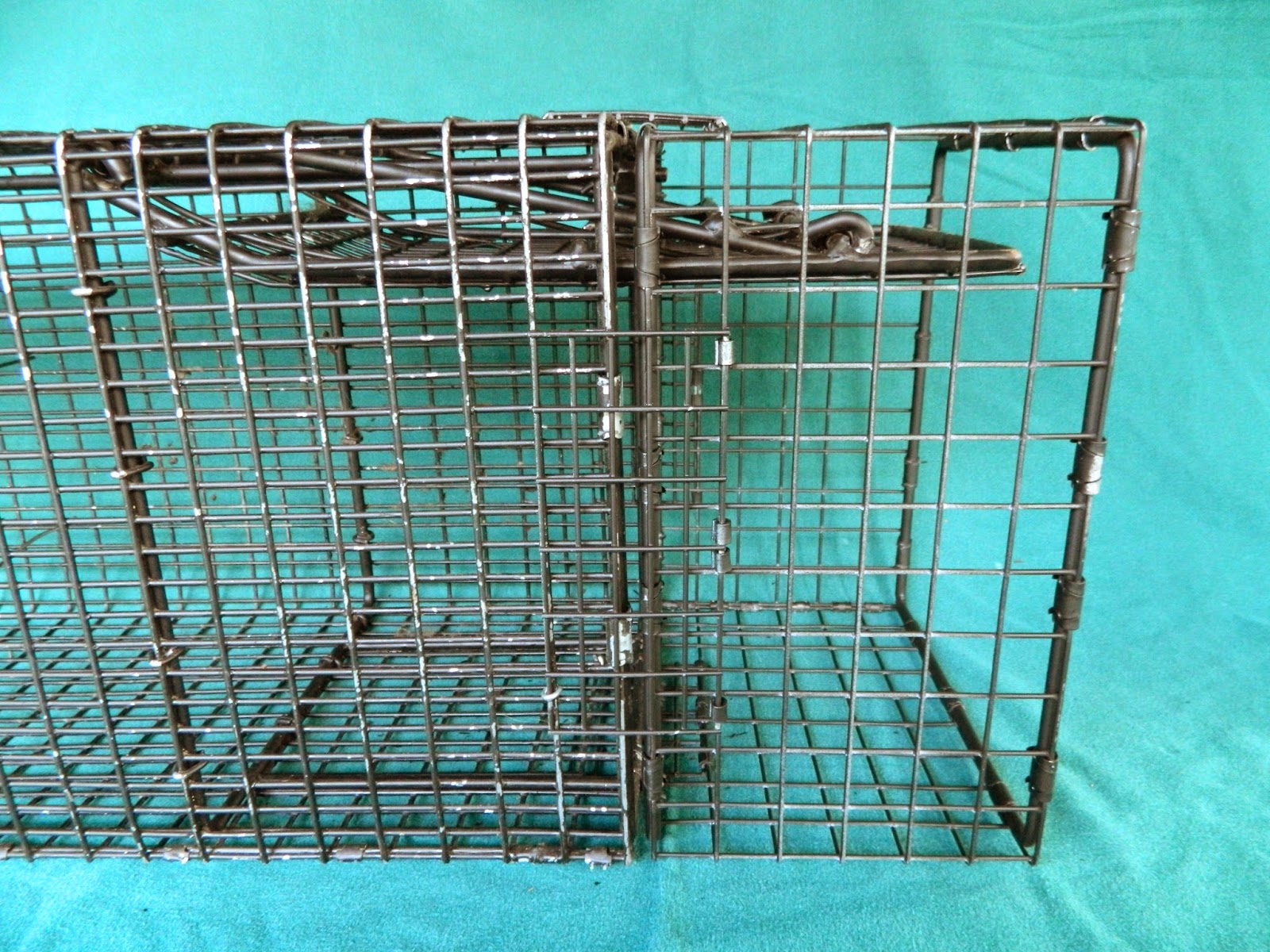 New Option in Flush Mount Traps for all 9x11 Comstock Cages,