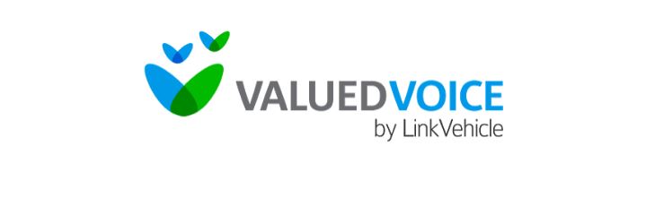 ValuedVoiceUsers