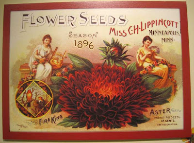 Litho of asters