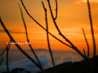 Mt. Isarog, Consocep Camarines Sur