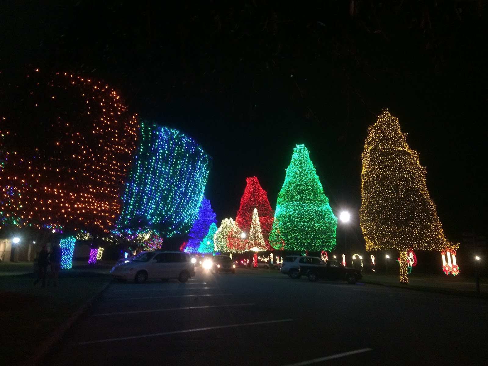 All Things Midlands {Around Town} Fantasy of Lights at Swan Lake Iris