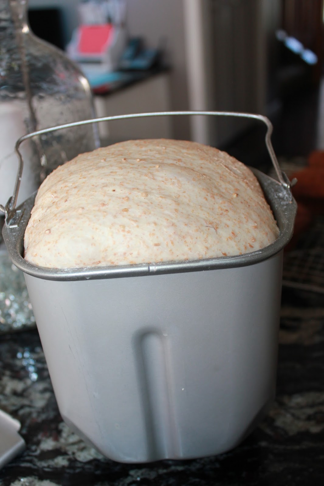 Sisters Luv 2 Cook Whole Wheat Sandwich Bread