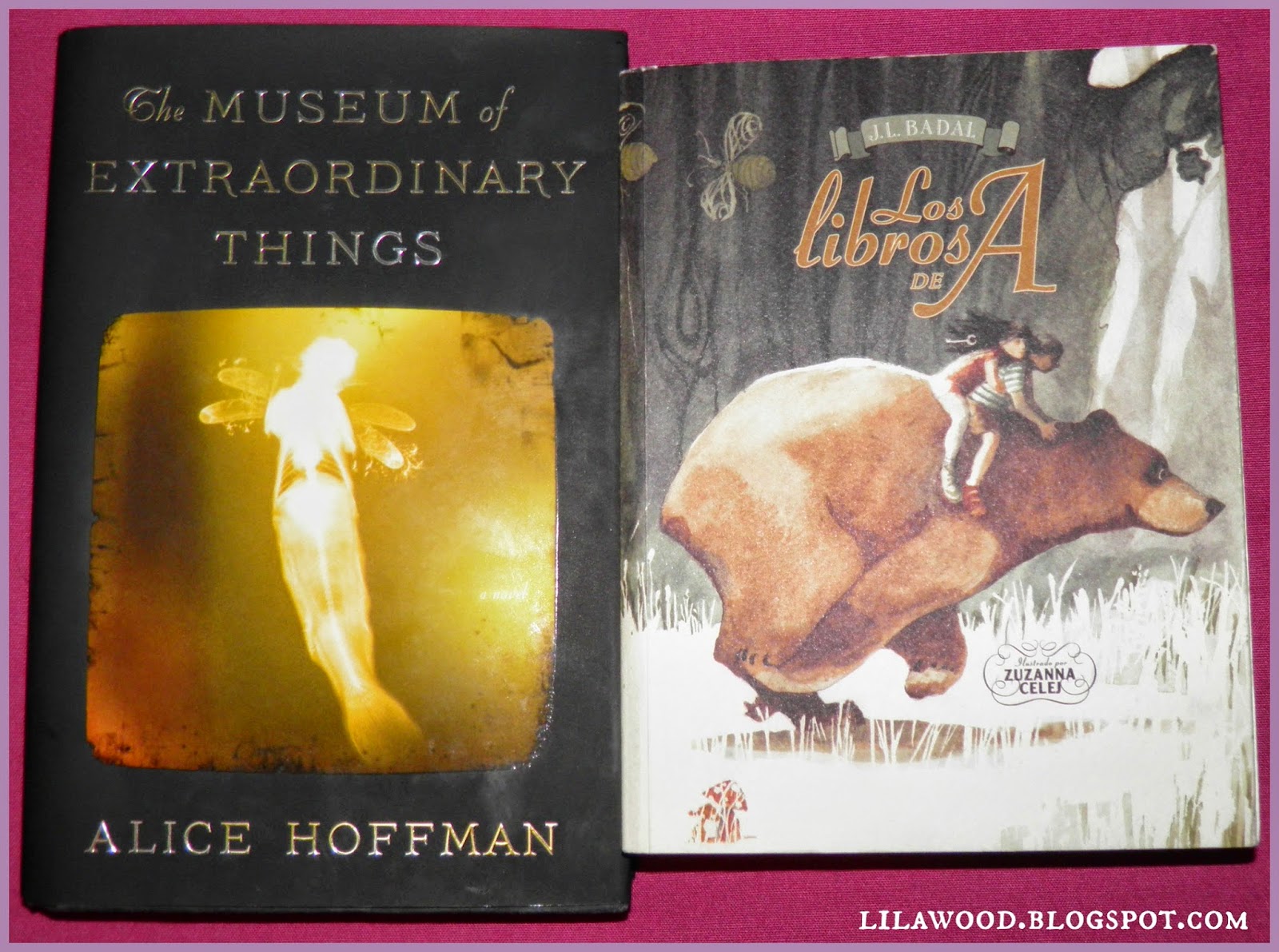 the museum of extraordinary things by alice hoffman the museum of extraordinary things by alice hoffman