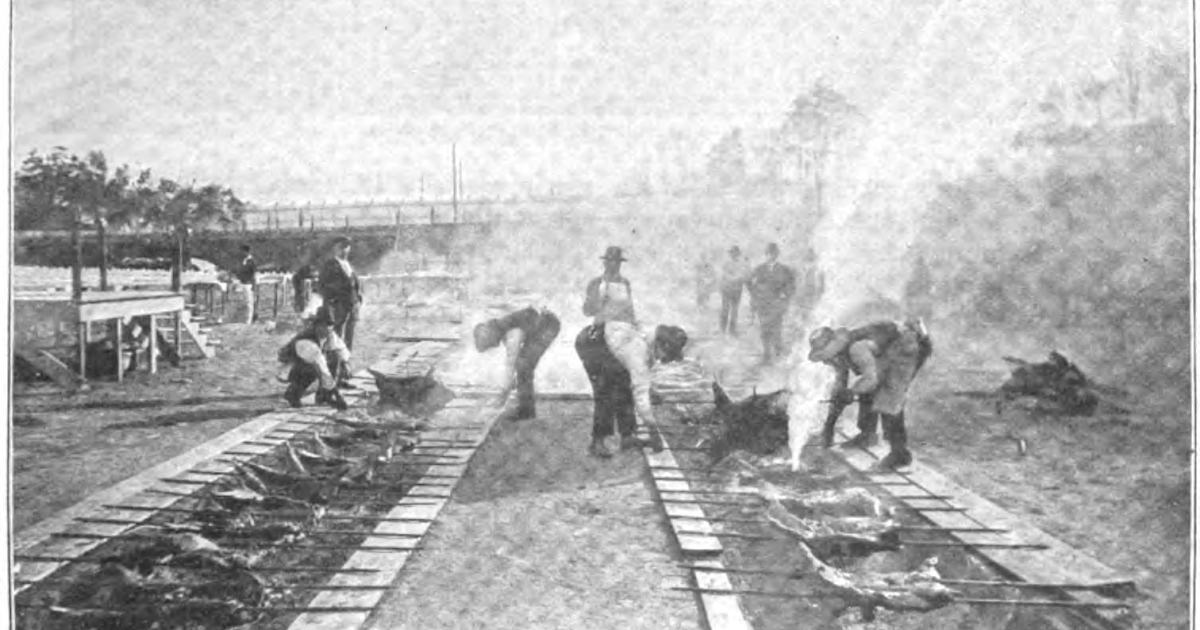 19th Century Historical Tidbits Barbecue