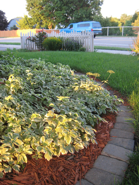 Happy At Home: Completed Front Yard Garden