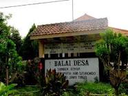 Lembaga Pemerintahan Desa