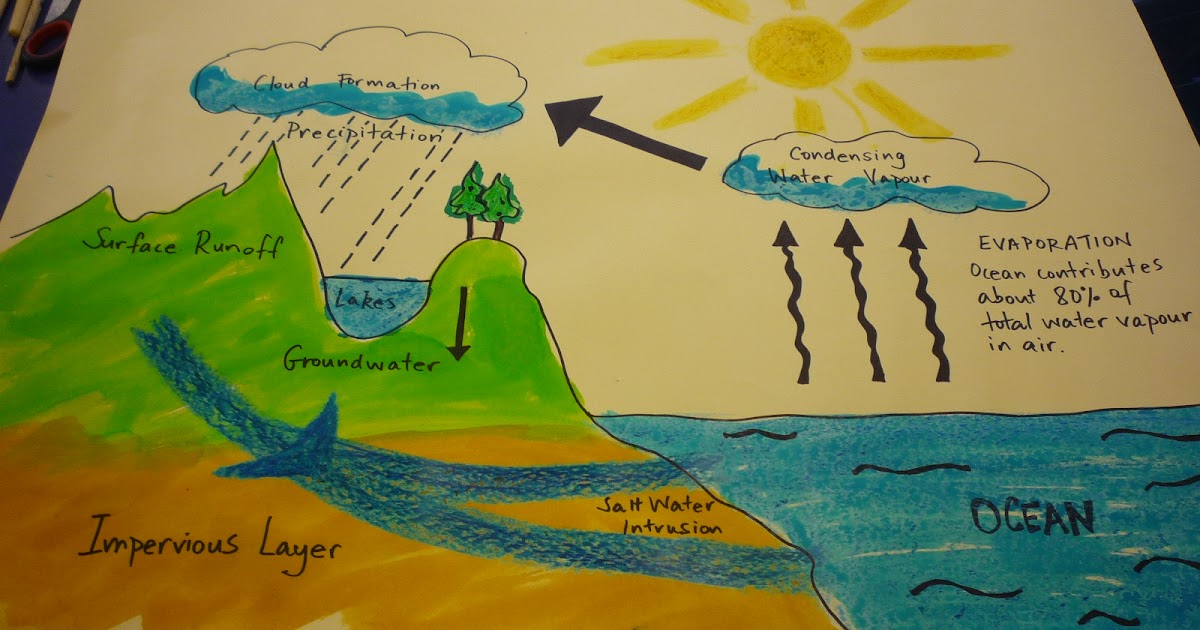 Mrs Naidoo Room 15 How Terrariums work like the water Cycle in Nature