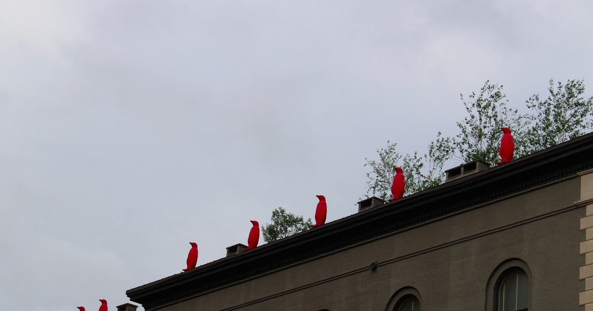 ice cream and sunshine disco balls and red penguins downtown louisville