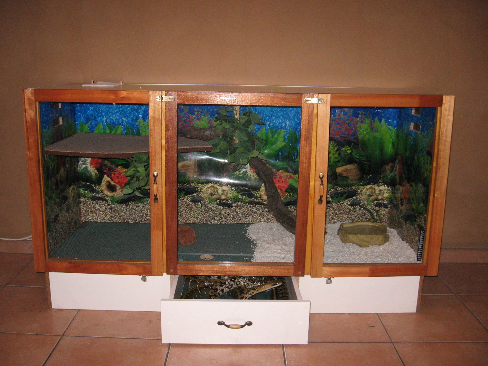 Custom Snake Enclosures