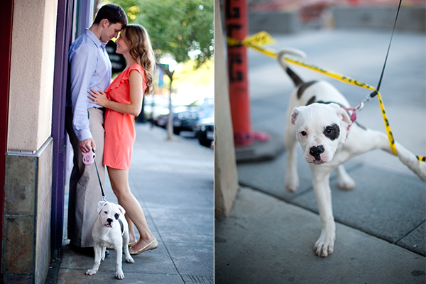 Puppy photo session