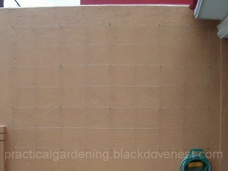 Practical Gardening: Assemble the Trellis Frame - Part 2