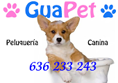 Peluquería canina