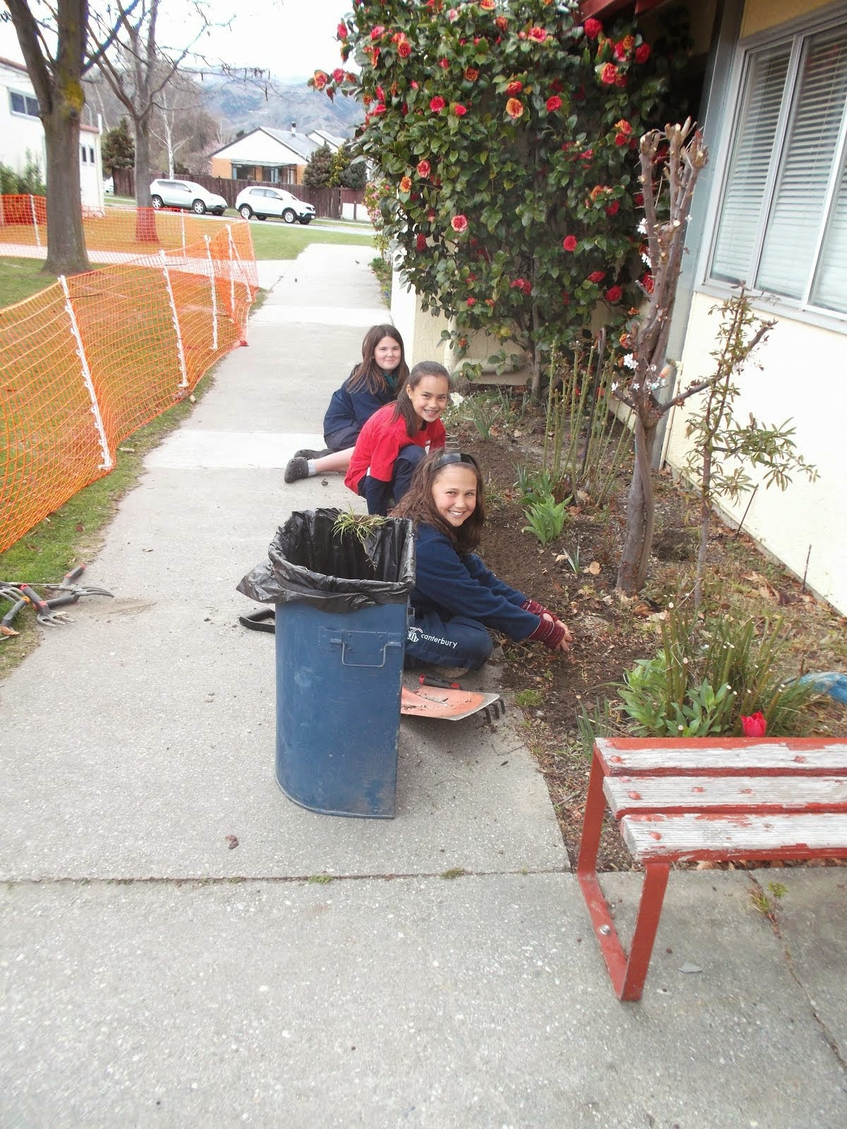 Early Spring Garden Cleanup