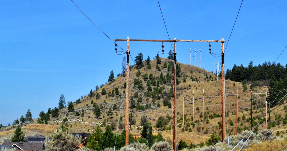 welovekamloops Goats Weed Control Kamloops, BC
