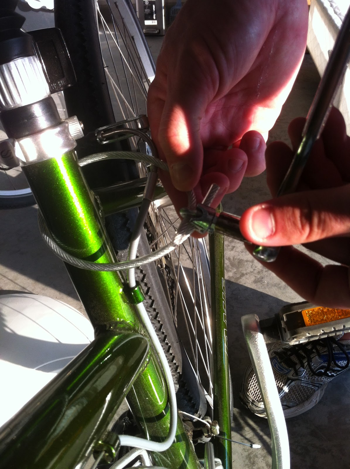 DIY Projects DIY Dog Bicycle Leash