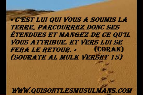 Avoir Images Quisontlesmusulmans Com Paroles De Sagesses Par L Imam Ibn Al Qayyim dernière salutations