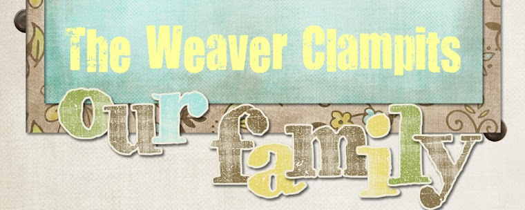 The Weaver Clampits