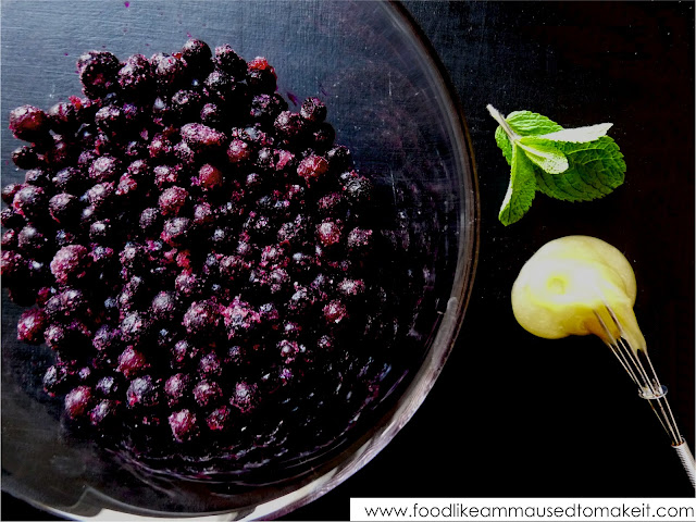 Blueberry Sorbet Recipe 2 blueberry%2Bsorbet6