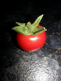 20130724_135318.jpg