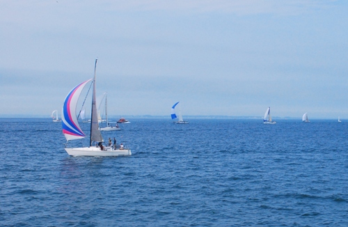 Sailboat traffic on the water