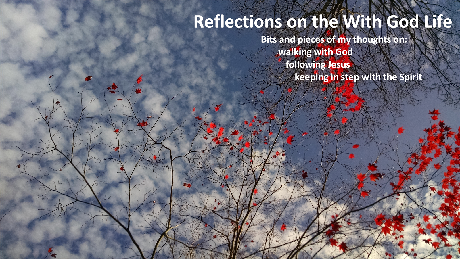 Reflections on the With God Life