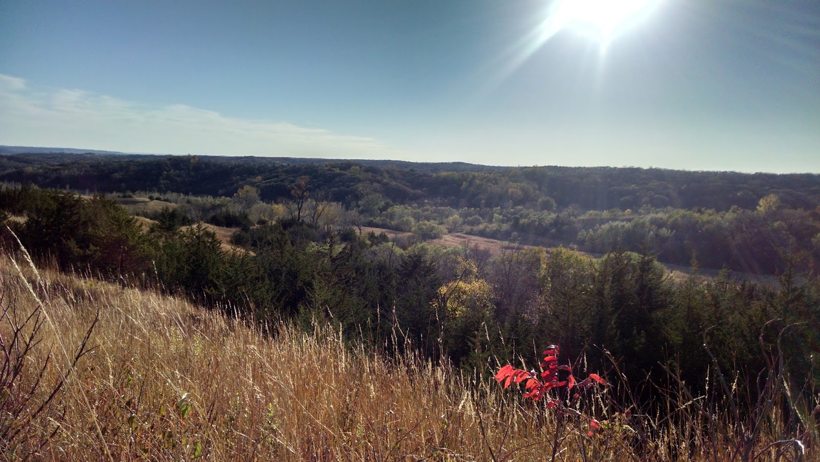 Kidspert A Day Of Exploring